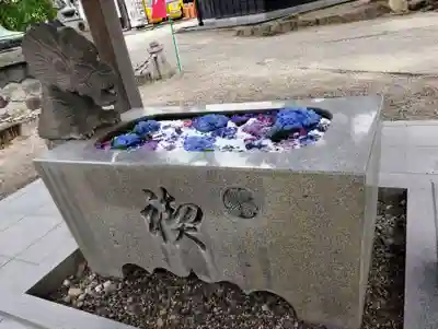 龍城神社の手水舎