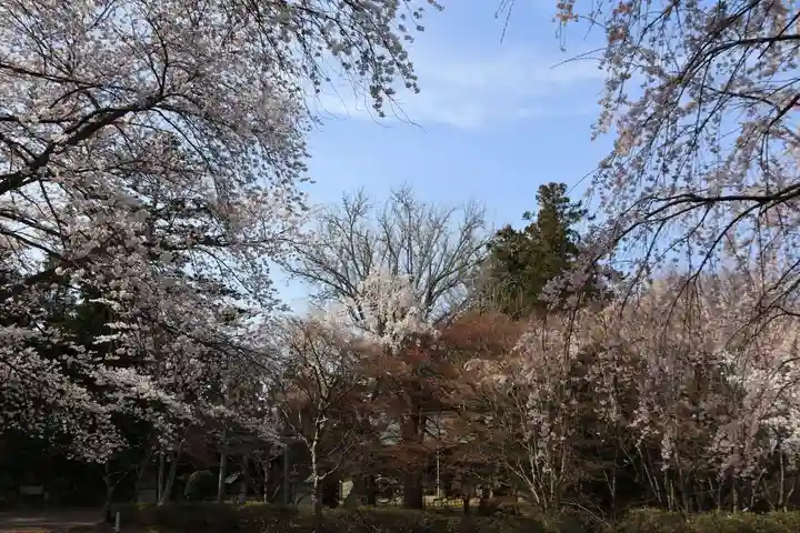 三春大神宮の景色