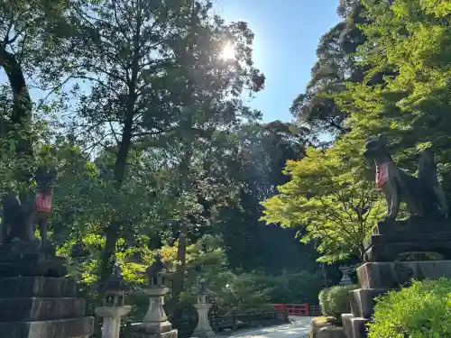 伏見稲荷大社(京都府)