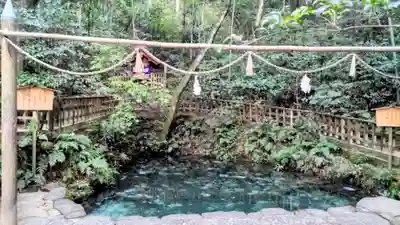 八重垣神社(島根県)