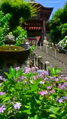 太平山神社(栃木県)