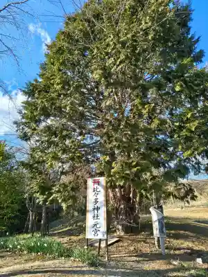 比々多神社の{uncategorized: "未分類", other: "その他", undefined: "問題あり", building: "その他建物", grave: "お墓", sacred_gate: "鳥居", guardian: "狛犬", statue: "像", buddha: "仏像", history: "歴史", nature: "自然", garden: "庭園", animal: "動物", pagoda: "塔", temizu: "手水舎", mountain_gate: "山門・神門", sanctuary: "本殿・本堂", subordinate: "末社・摂社", art: "芸術", scenery: "景色", jizo: "地蔵", ema: "絵馬", goshuin: "御朱印", omikuji: "おみくじ", items: "授与品その他", amulet: "お守り", goshuincho: "御朱印帳", eats: "食事", festival: "お祭り", votive_dance: "神楽", shichigosan: "七五三参", wedding: "結婚式", experience: "体験その他", initially: "初詣", around: "周辺", anti_infection: "感染症対策"}