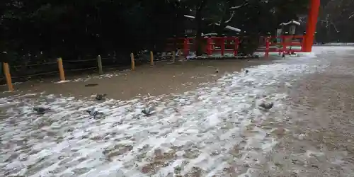 賀茂御祖神社（下鴨神社）(京都府)