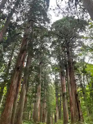 戸隠神社奥社の周辺