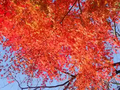 戸部杉山神社(神奈川県)