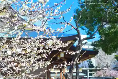 湯島天満宮(東京都)