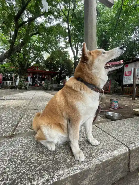 笠䅣稲荷神社(神奈川県)