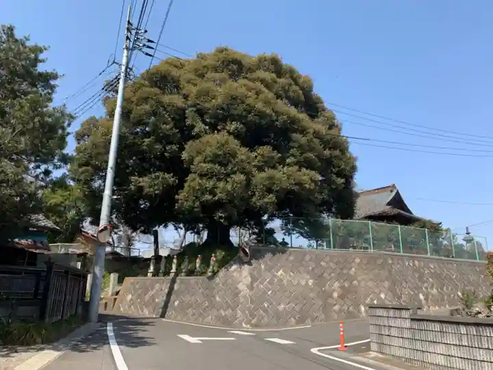 善導大師堂(千葉県)