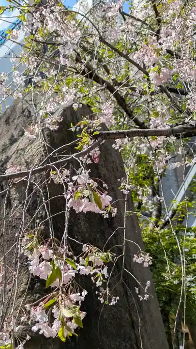 了徳院(大阪府)