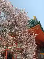 平安神宮の自然