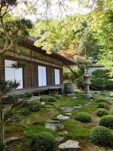 金剛寺の庭園