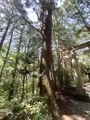 金子神社(埼玉県)