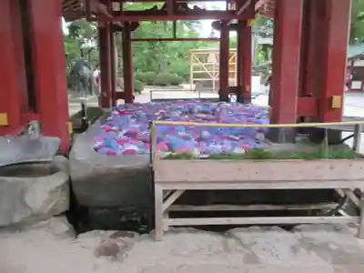 太宰府天満宮の手水舎