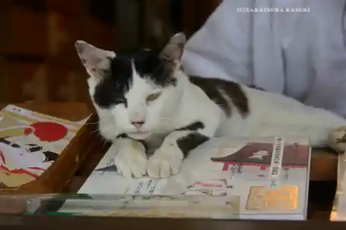 賀茂別雷神社(栃木県)