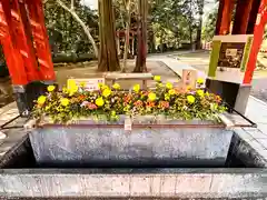 武蔵一宮氷川神社(埼玉県)