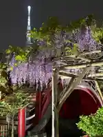 亀戸天神社(東京都)