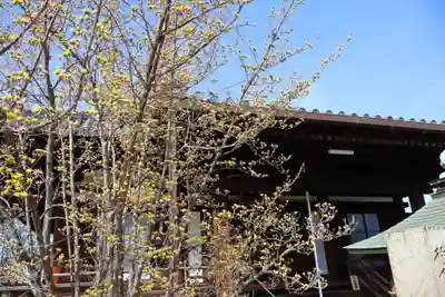 道明寺(大阪府)