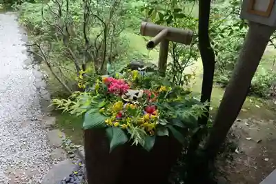 善法律寺(京都府)