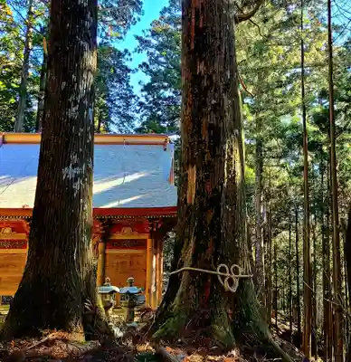 秋葉山本宮 秋葉神社 上社(静岡県)