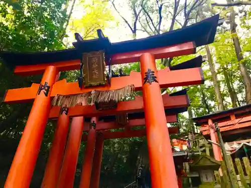 伏見稲荷大社の鳥居