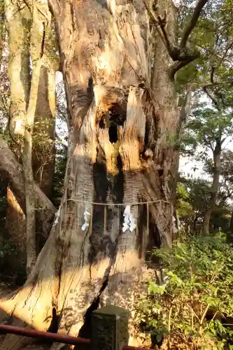神崎神社(千葉県)