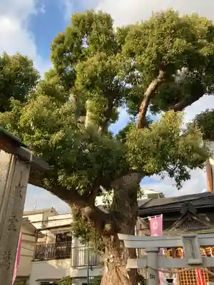 生野八坂神社(大阪府)