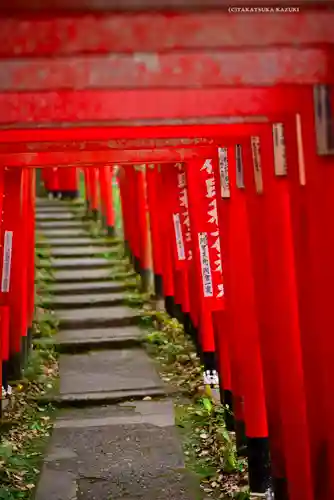 佐助稲荷神社の鳥居