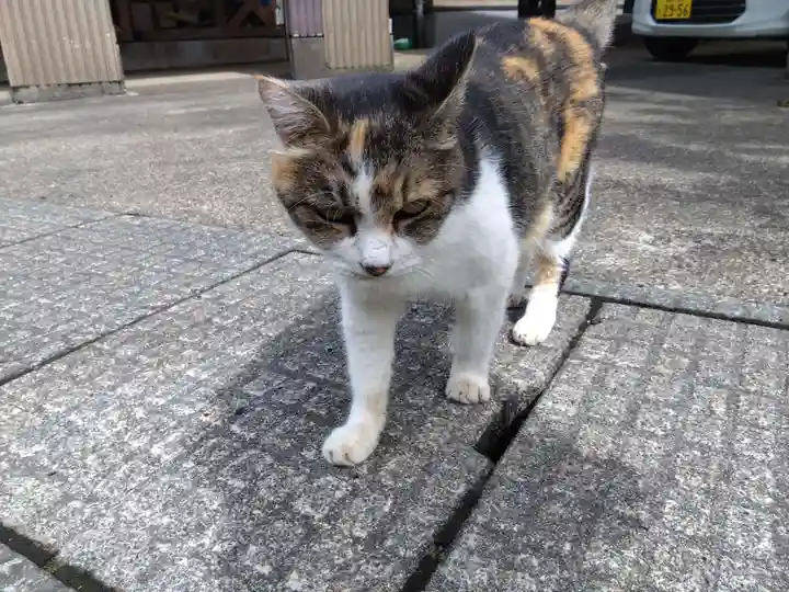 氷川神社(福井県)