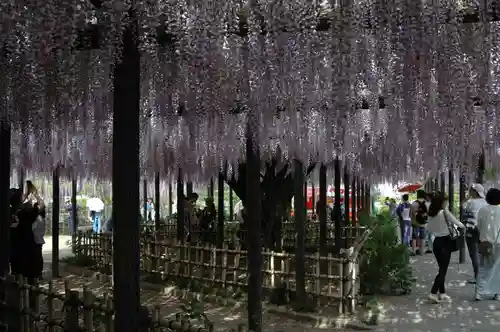 玉敷神社(埼玉県)