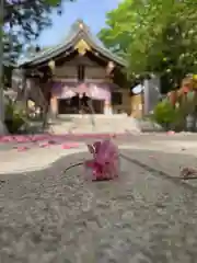 彌彦神社　(伊夜日子神社)(北海道)