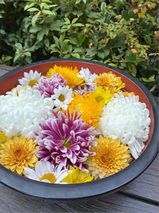 増上寺塔頭 三縁山 宝珠院(東京都)