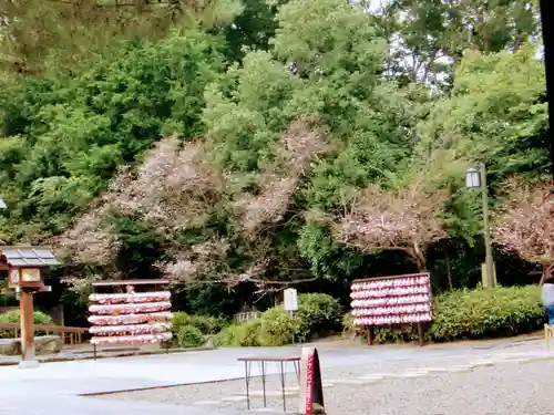 櫻木神社のその他建物