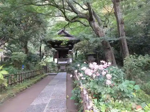 円覚寺の本殿・本堂