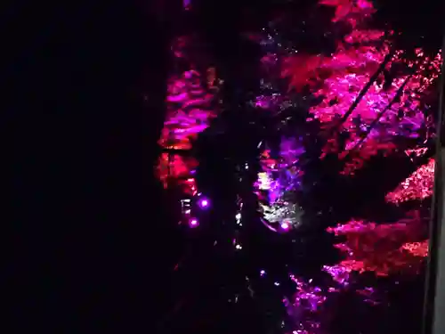 大山阿夫利神社の周辺