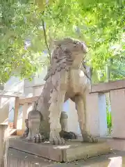 渋谷氷川神社の狛犬