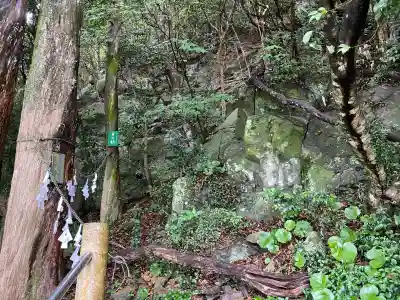 岩屋神社(高知県)