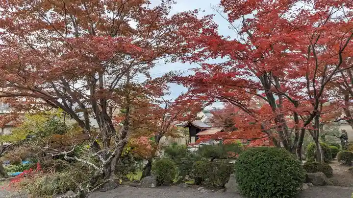 神光院(京都府)