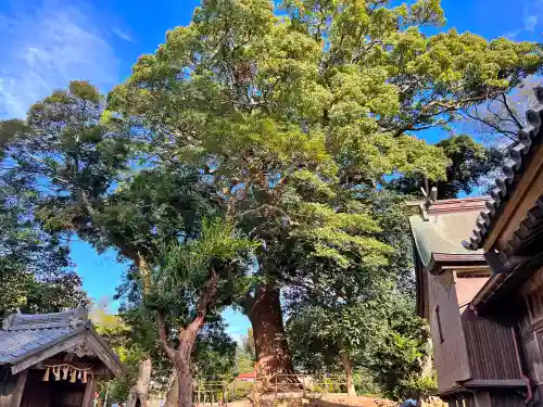 六所神社(福岡県)