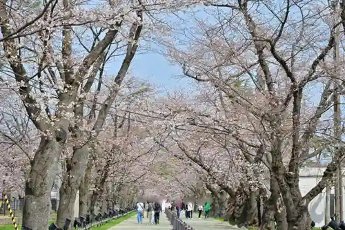 釈迦堂(新潟県)