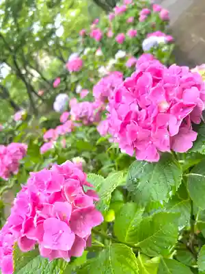 岐阜護國神社(岐阜県)