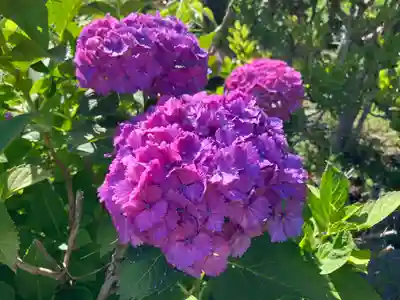 蓮華峯寺(新潟県)