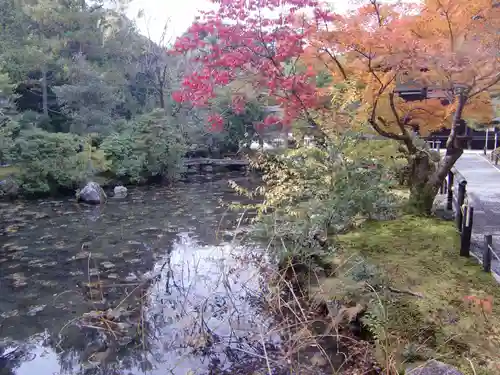 金地院(京都府)