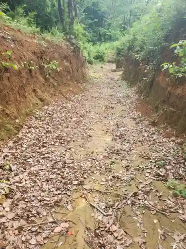 賀茂別雷神社(栃木県)