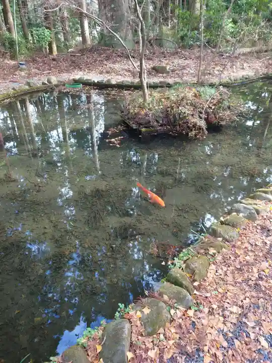 都々古別神社(八槻)(福島県)