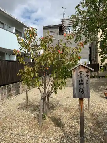 墨染寺（桜寺）の自然