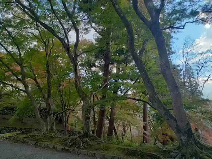 毘沙門堂門跡の自然