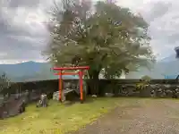 増福寺の{uncategorized: "未分類", other: "その他", undefined: "問題あり", building: "その他建物", grave: "お墓", sacred_gate: "鳥居", guardian: "狛犬", statue: "像", buddha: "仏像", history: "歴史", nature: "自然", garden: "庭園", animal: "動物", pagoda: "塔", temizu: "手水舎", mountain_gate: "山門・神門", sanctuary: "本殿・本堂", subordinate: "末社・摂社", art: "芸術", scenery: "景色", jizo: "地蔵", ema: "絵馬", goshuin: "御朱印", omikuji: "おみくじ", items: "授与品その他", amulet: "お守り", goshuincho: "御朱印帳", eats: "食事", festival: "お祭り", votive_dance: "神楽", shichigosan: "七五三参", wedding: "結婚式", experience: "体験その他", initially: "初詣", around: "周辺", anti_infection: "感染症対策"}