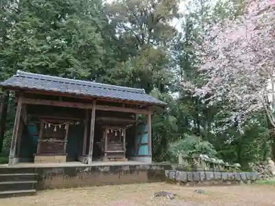竹生神社の本殿・本堂