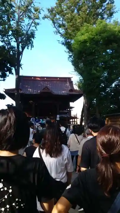 戸越八幡神社土光洋子コラボ八月限定御朱印 戸越八幡神社土光洋子コラボ八月限定御朱印