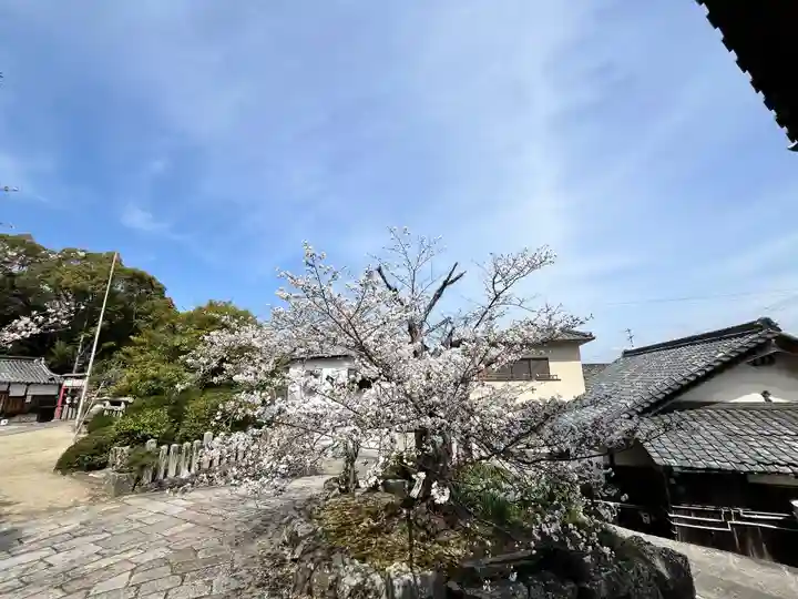 種河神社(大阪府)